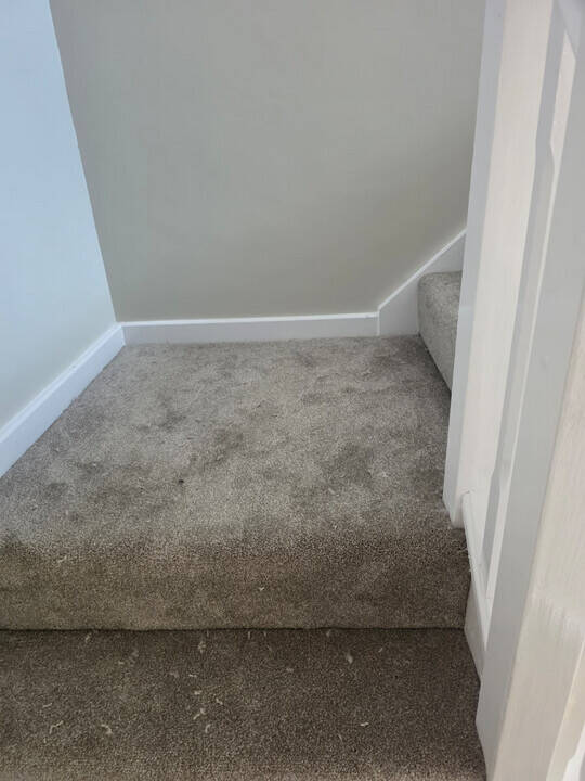 Wood flooring services | laminate flooring | carpet fitting service - SYN Carpets